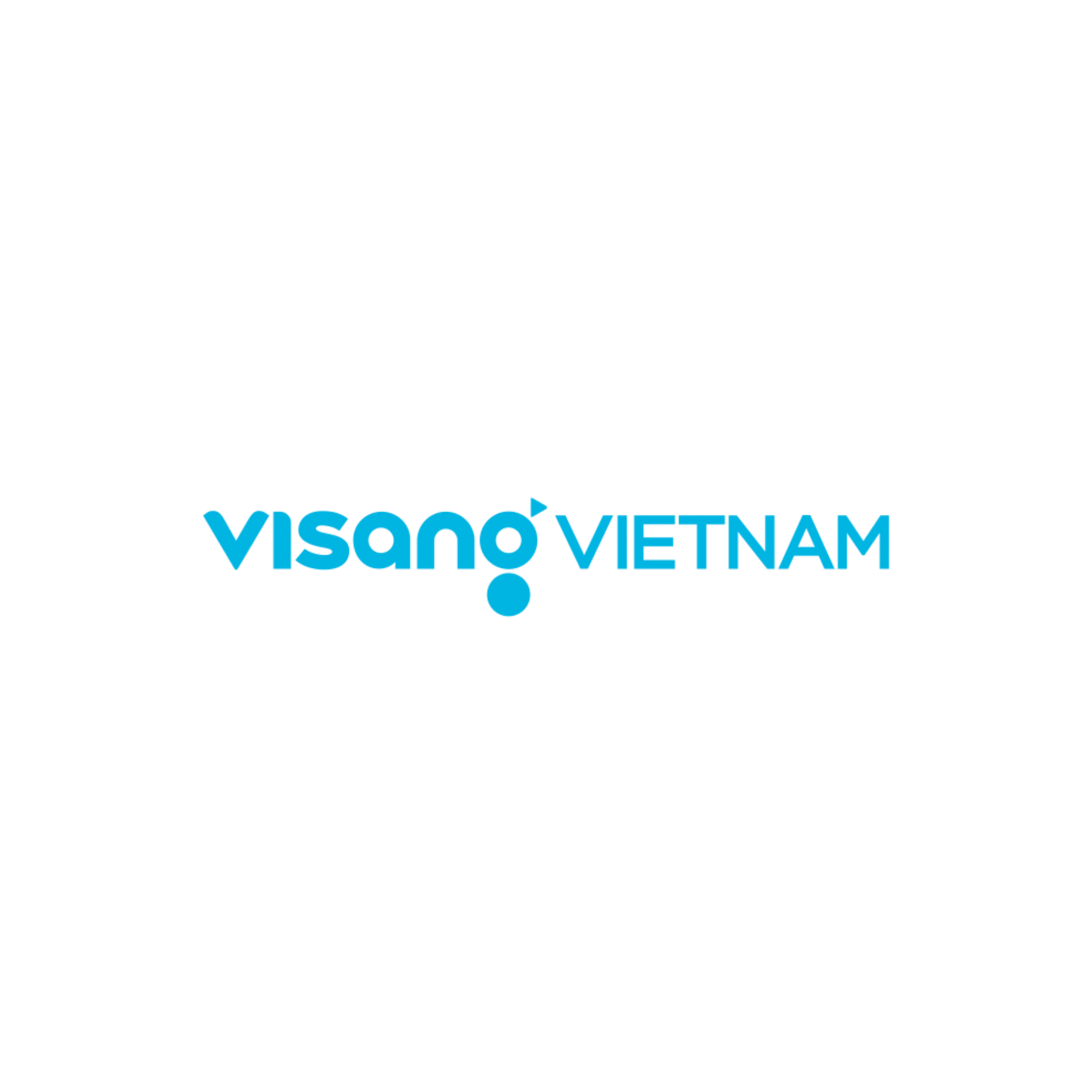 Công ty TNHH Giáo dục Visang Việt Nam