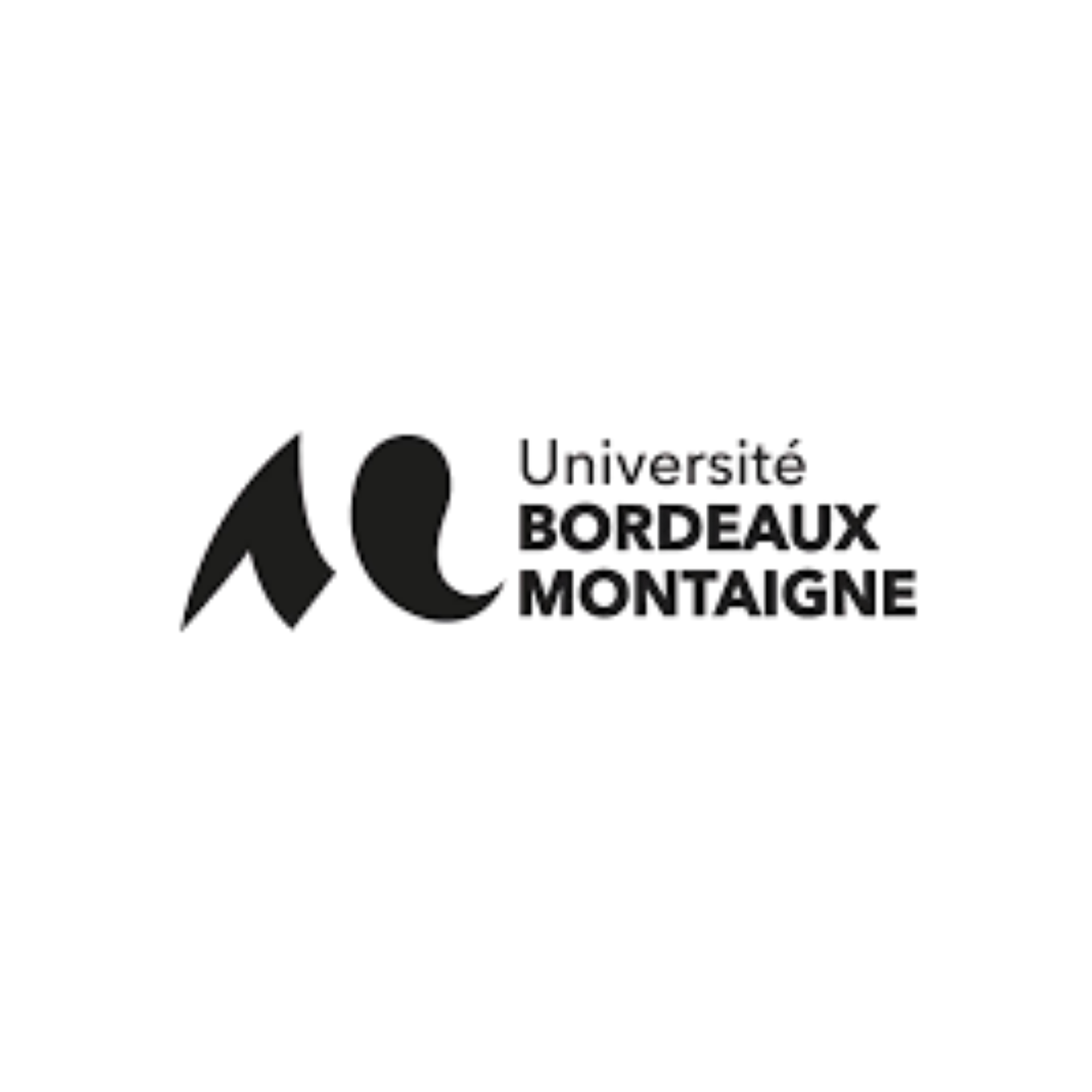 Đại học Bordeaux  Institut